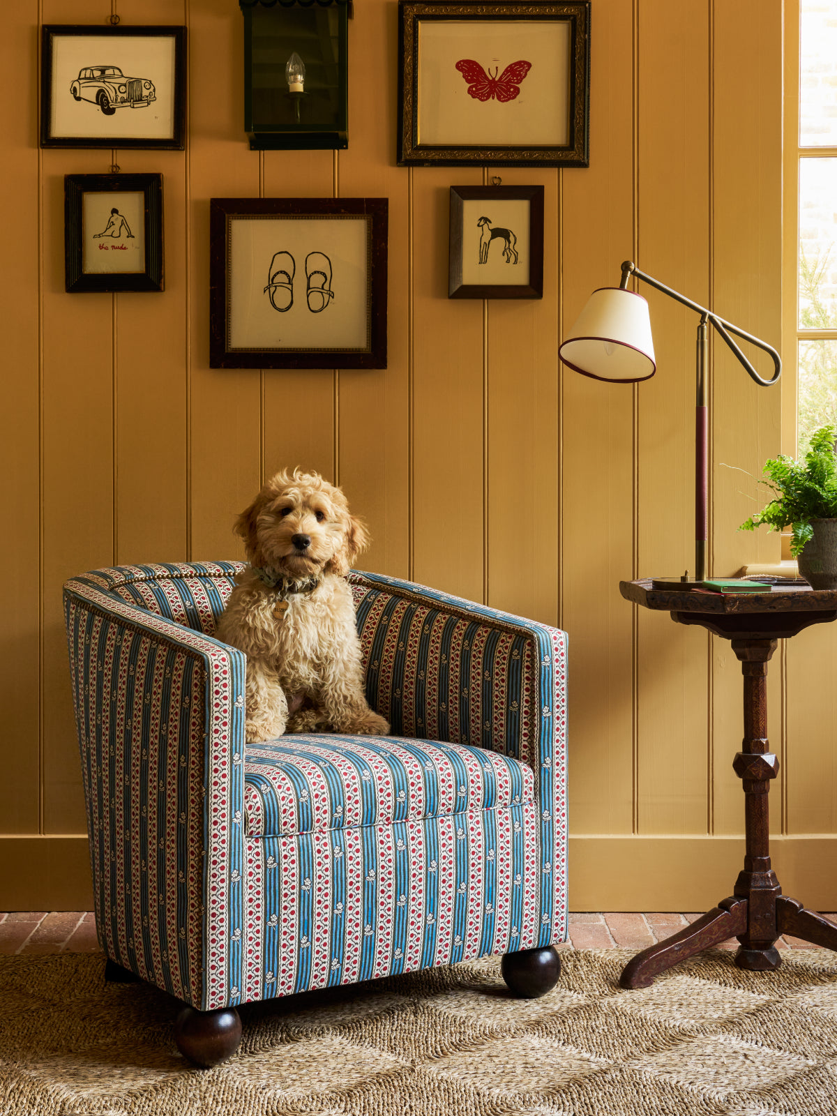 Tubster Armchair